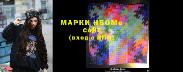стафф Алзамай