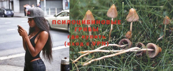 амфетамин Алексеевка