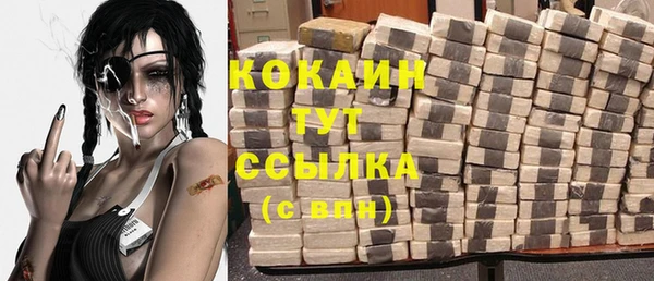 стафф Алзамай