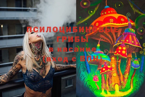 стафф Алзамай