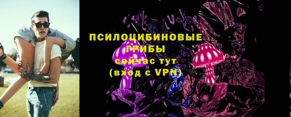 стафф Алзамай