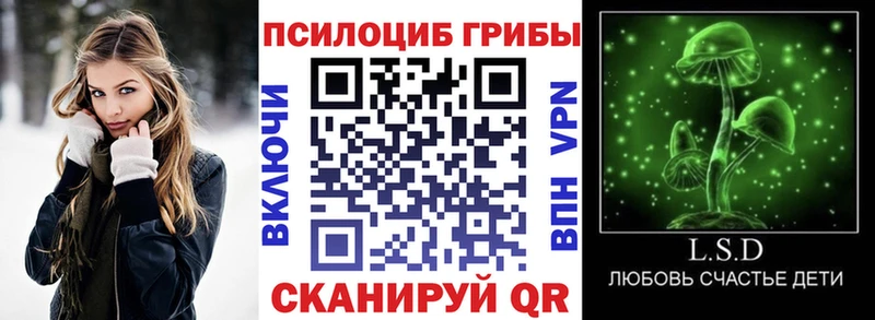 Галлюциногенные грибы Psilocybe  ссылка на мегу ссылка  Болгар 
